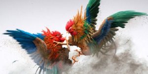 Đá gà Campuchia: Khám phá trò chơi truyền thống đặc sắc tại Bet88